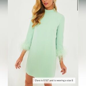 Mint Feather Mod Ellie Dress